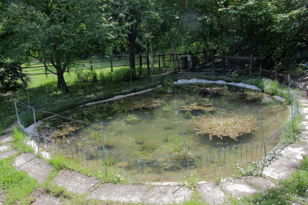 Lo stagno didattico di Valbonella - Bagno di Romagna (FC)